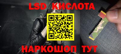 спайс Гай