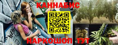 спайс Гай
