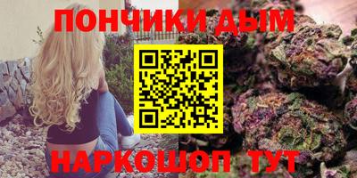 амф Гатчина
