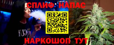 спайс Гай