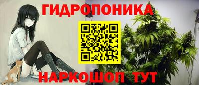 спайс Гай