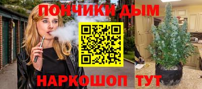 амф Гатчина