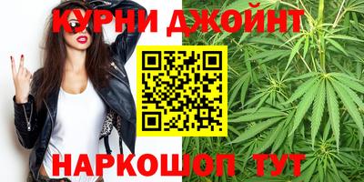 амф Гатчина