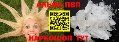 амф Гатчина