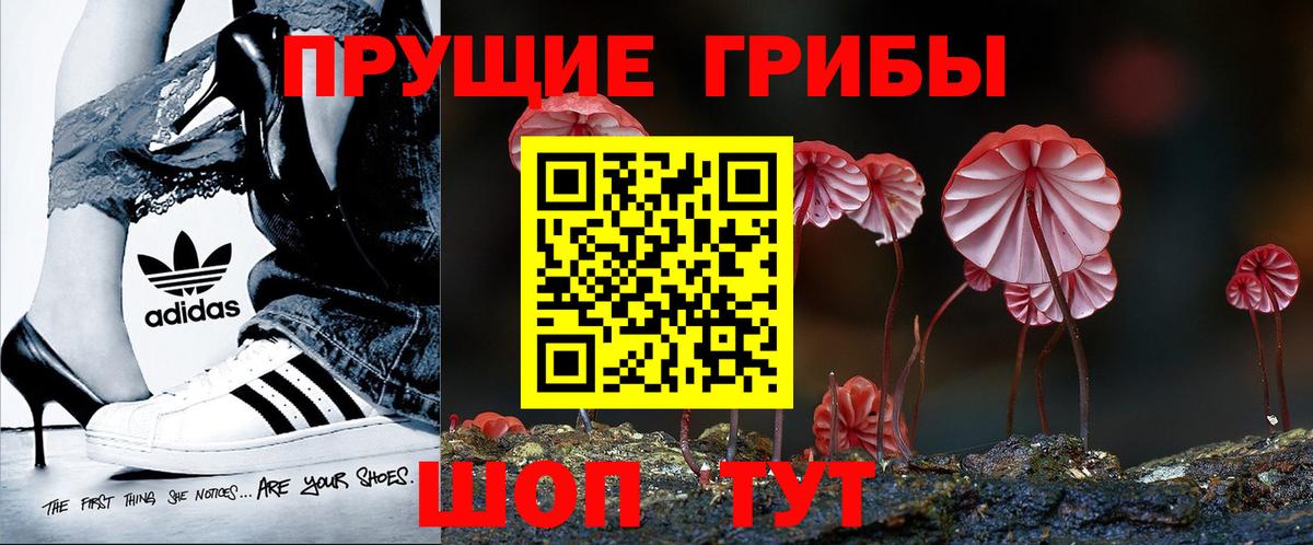 Галлюциногенные грибы ЛСД  Вход с VPN  Губкинский 